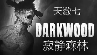 第八期 恐怖游戏《黑暗森林》 寂静森林 天数七 沉浸式实况