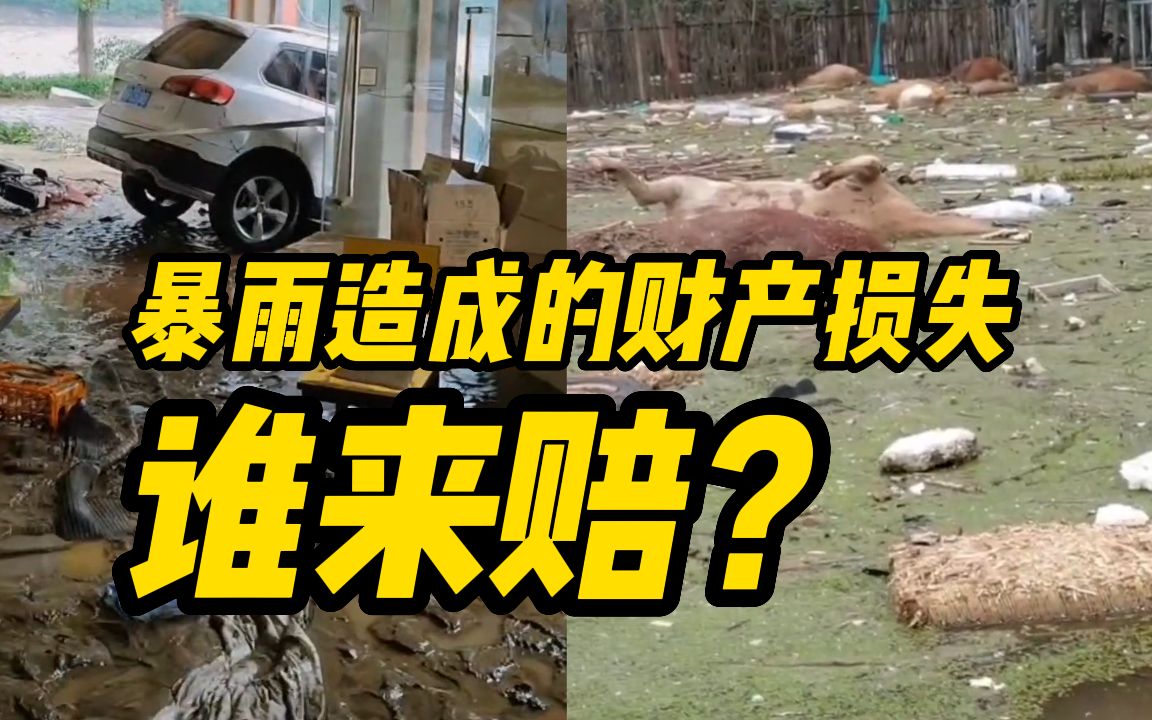 暴雨造成的财产损失谁来赔?律师:国家有相关补偿,但具体标准要由各地相关部门来定哔哩哔哩bilibili