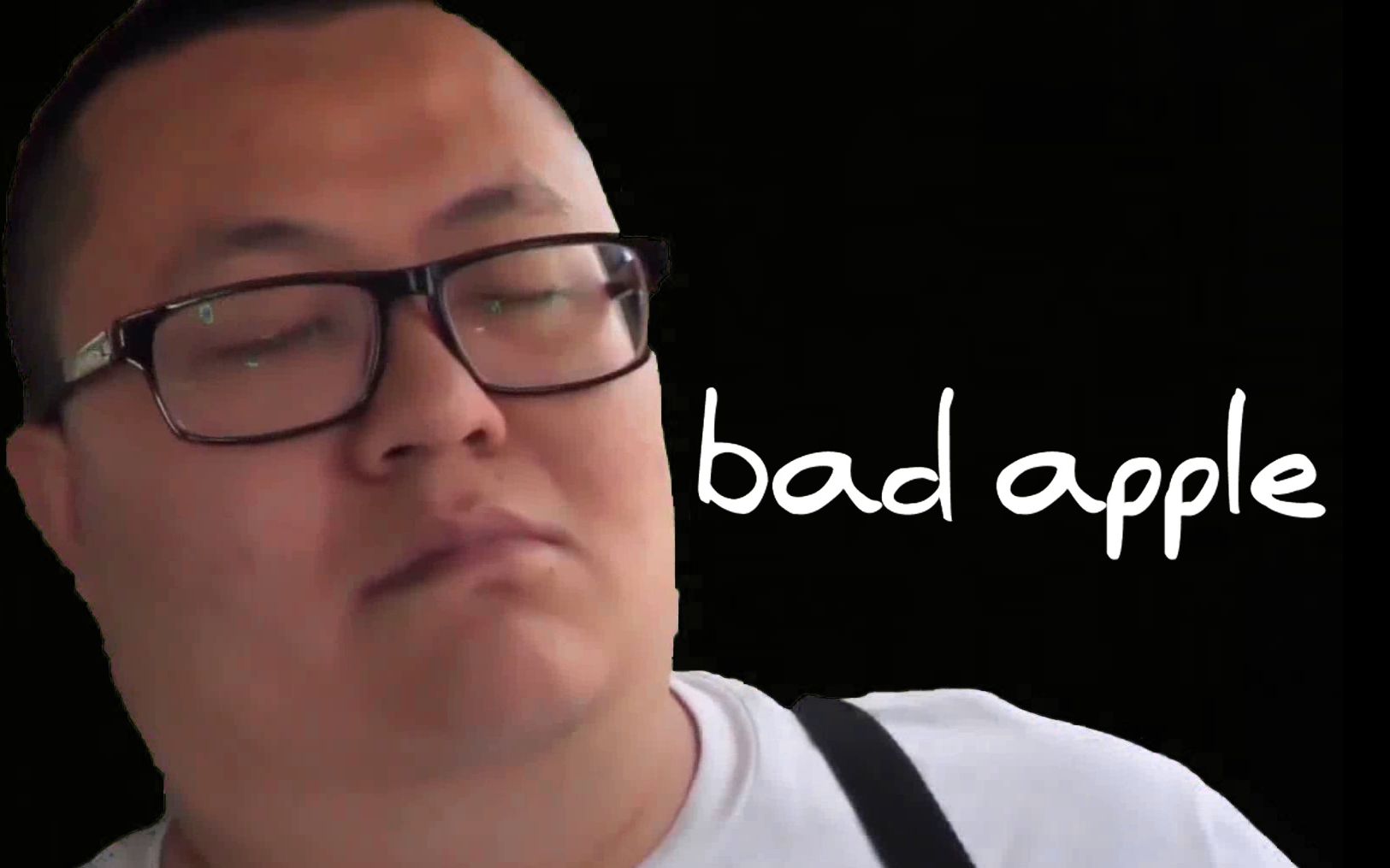 【孙笑川】bad apple-nnnnn148-鬼畜-哔哩哔哩视频