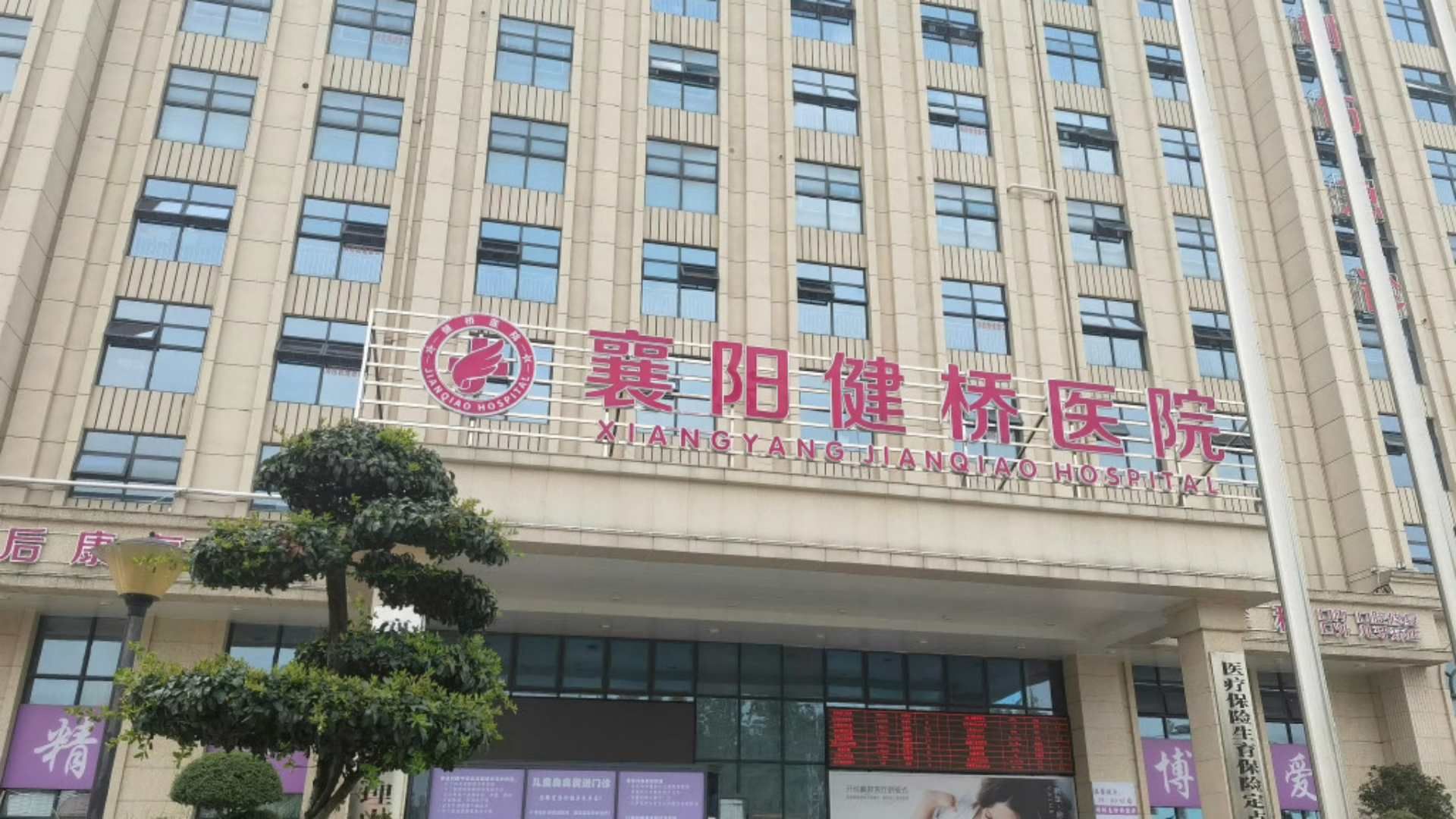 官方通报两个代孕婴儿被伪造双胞胎证明:已移交公安和纪委哔哩哔哩bilibili