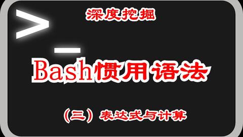 深度挖掘bash的惯用语法 三 表达式与计算 哔哩哔哩