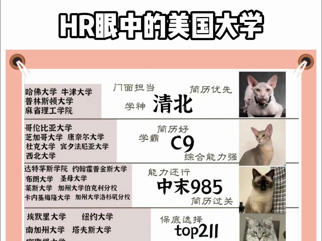 HR眼中的美国大学哔哩哔哩bilibili