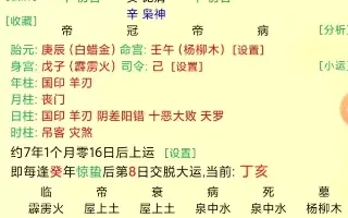 八字算命 搜索结果 哔哩哔哩 Bilibili