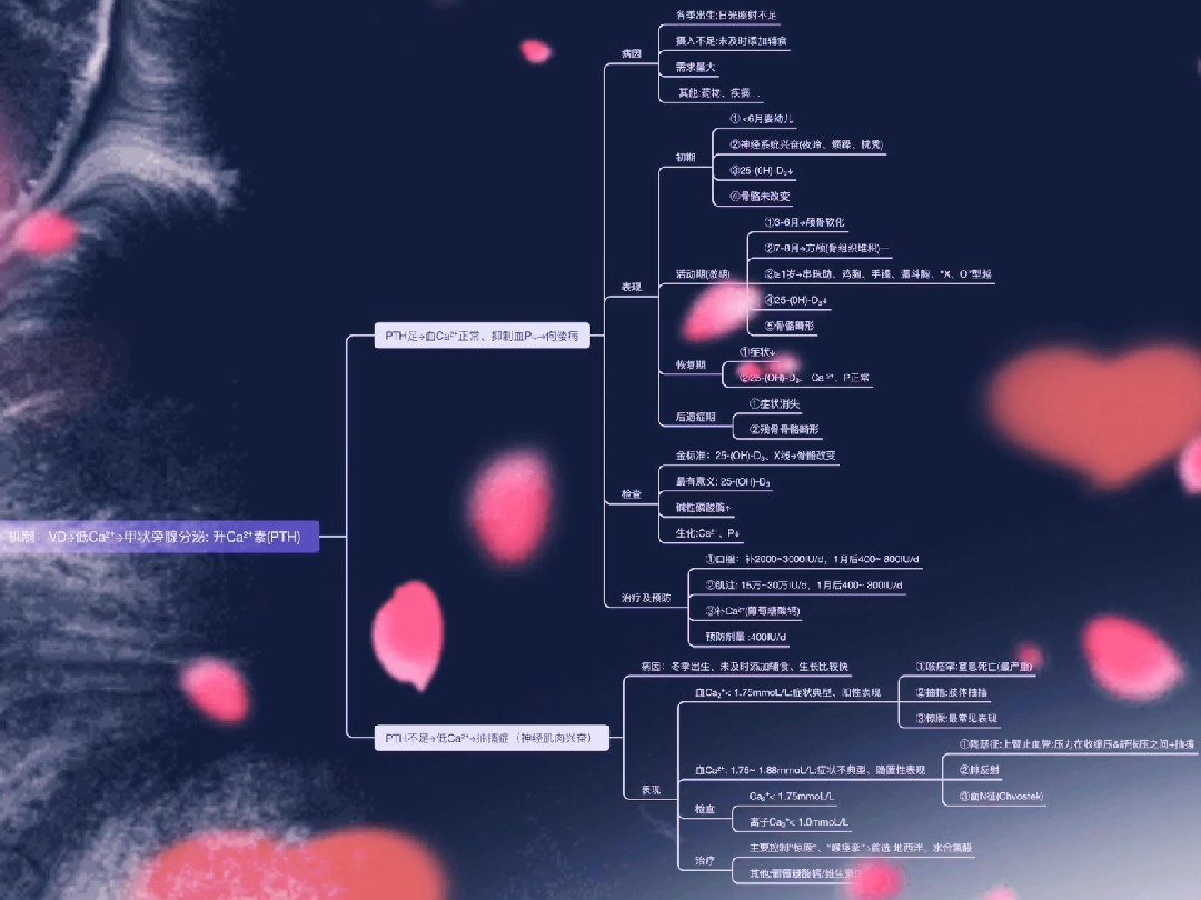 儿科系统疾病维生素D缺乏佝偻病+抽搐症哔哩哔哩bilibili