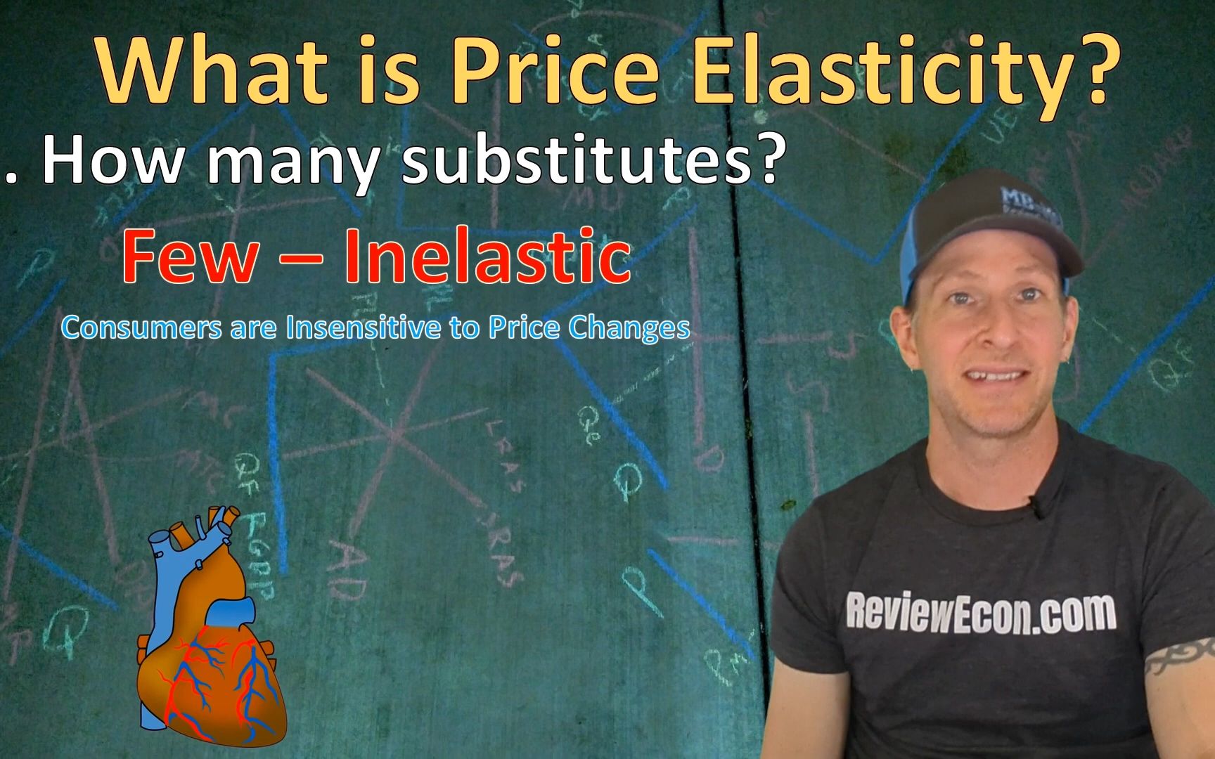 搬运 reviewecon|ap microeconomics 2.3 price elasticity of demand