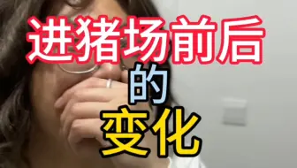 兽医进猪场前后对比。