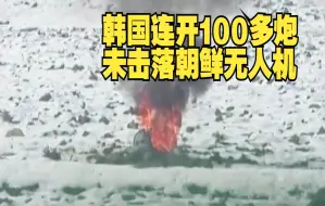 Descargar video: 韩国连开100多炮未击落朝鲜无人机