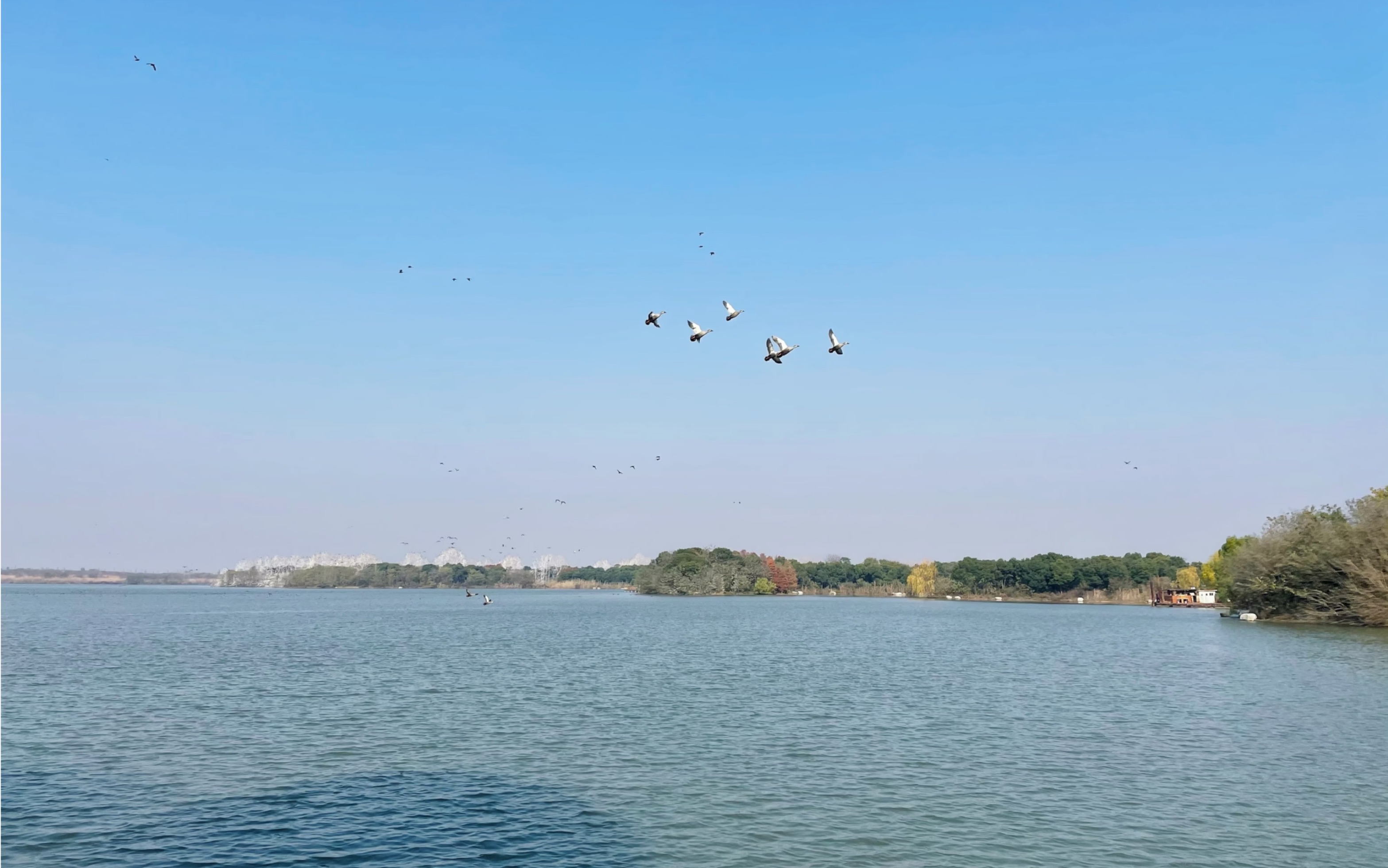 仙桃排湖风景区图片