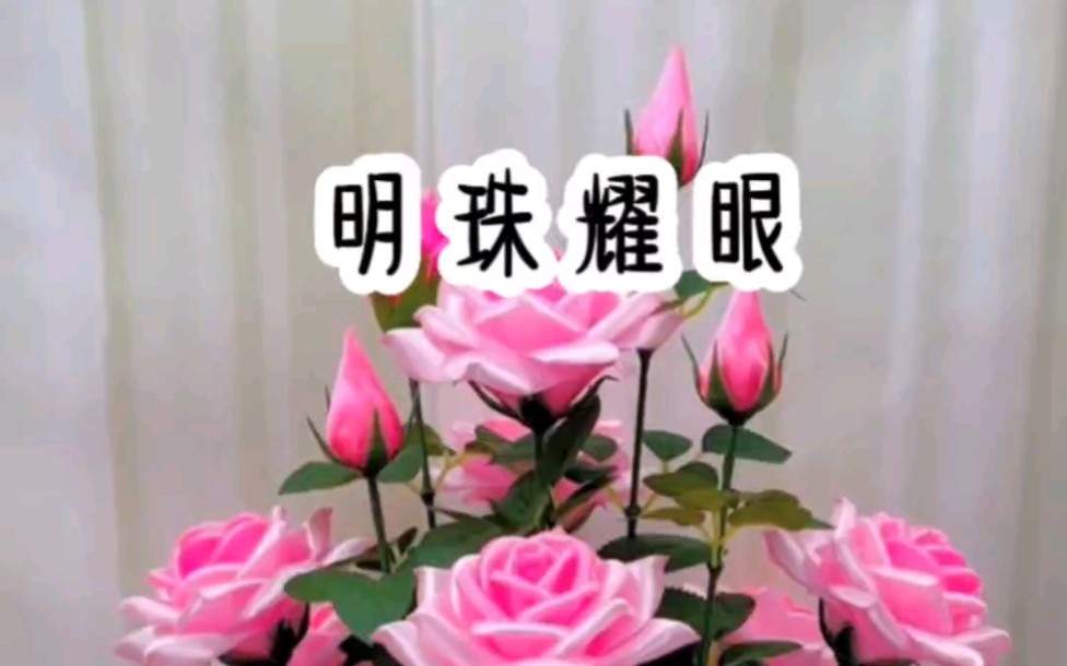 铭《明珠耀眼》超爆小故事哔哩哔哩bilibili