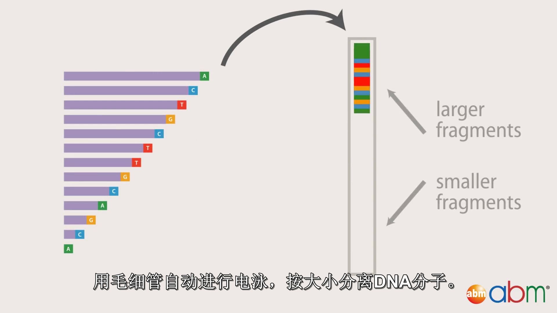 二代测序原理哔哩哔哩bilibili