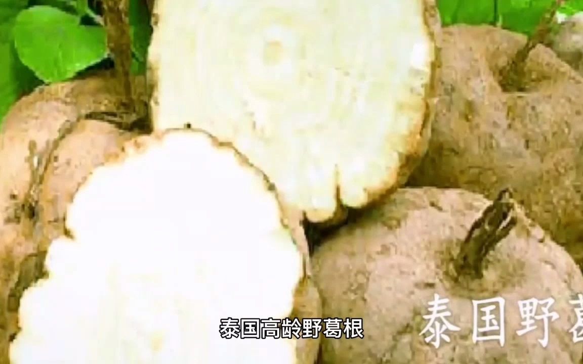 刘燕酿制丰韵霜真的可以丰胸吗真实评价怎么样哔哩哔哩bilibili