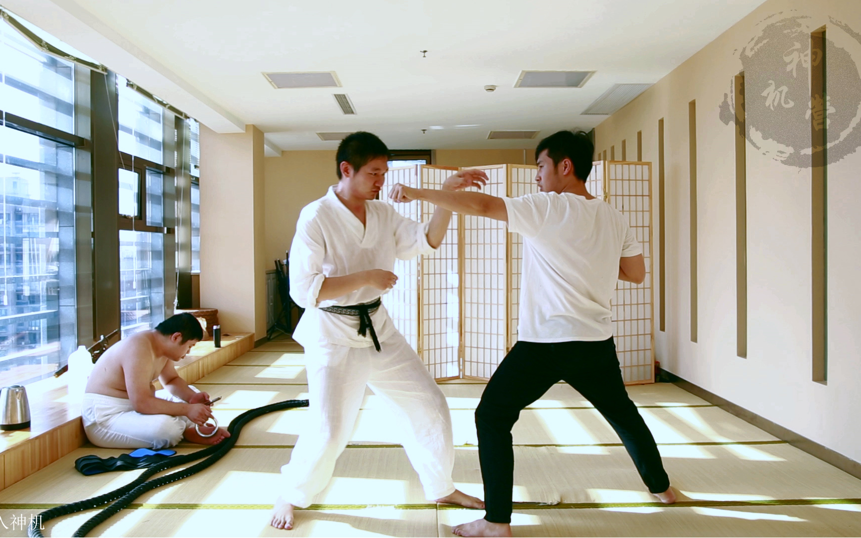 神机演武71虎鹤双形拳