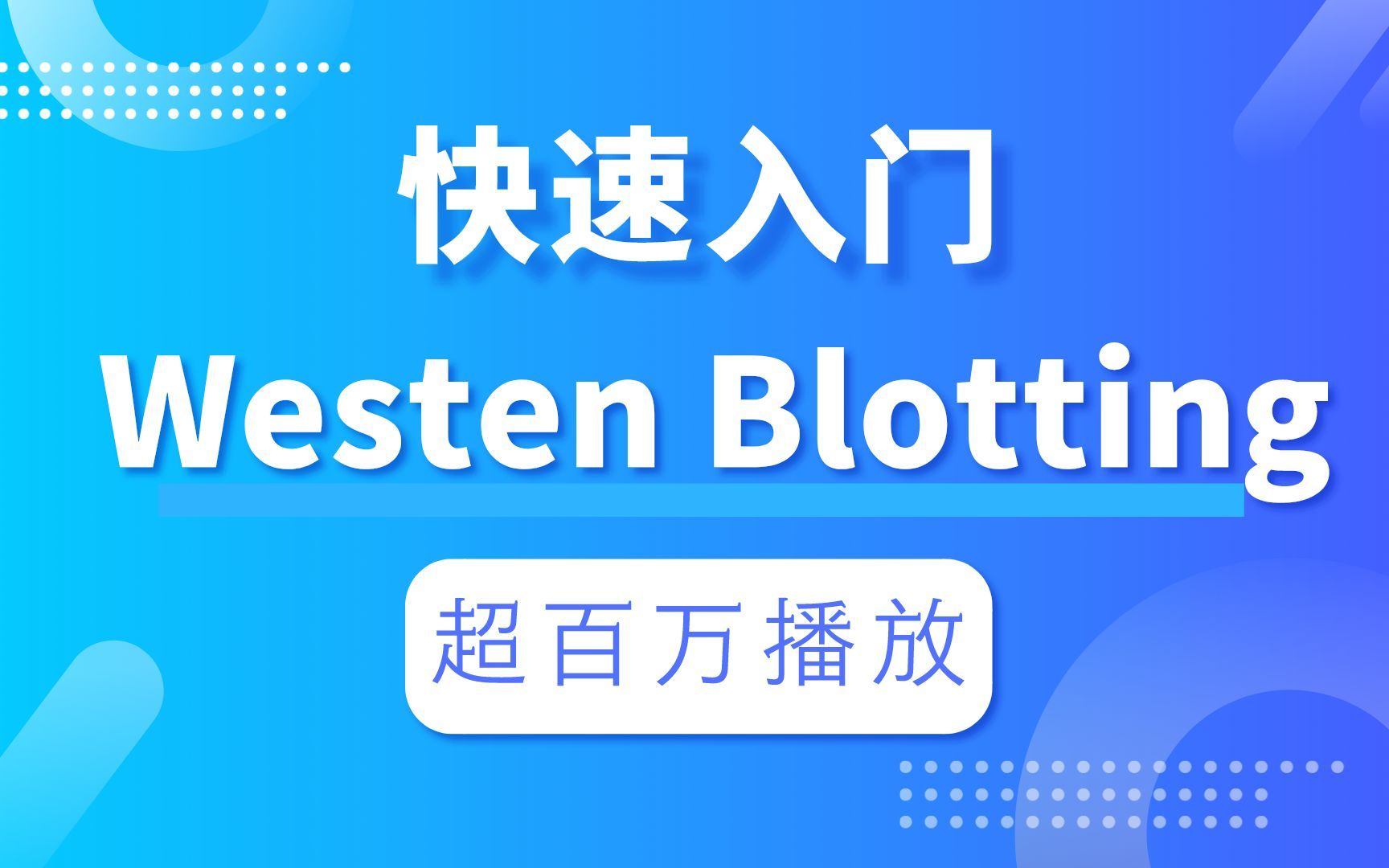 Western Blotting实验操作,视频在线讲解,手把手教你做实验哔哩哔哩bilibili