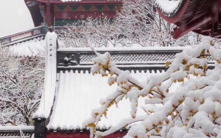 [图]古琴曲《阳春白雪》为宫商角徵羽中的“商曲”这首曲调高昂的润肺音乐，