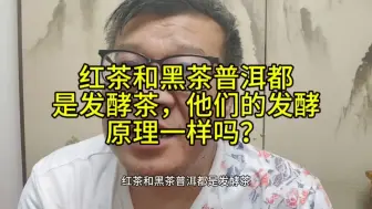 Download Video: 红茶何黑茶普洱都是发酵茶，他们的发酵原理一样吗？