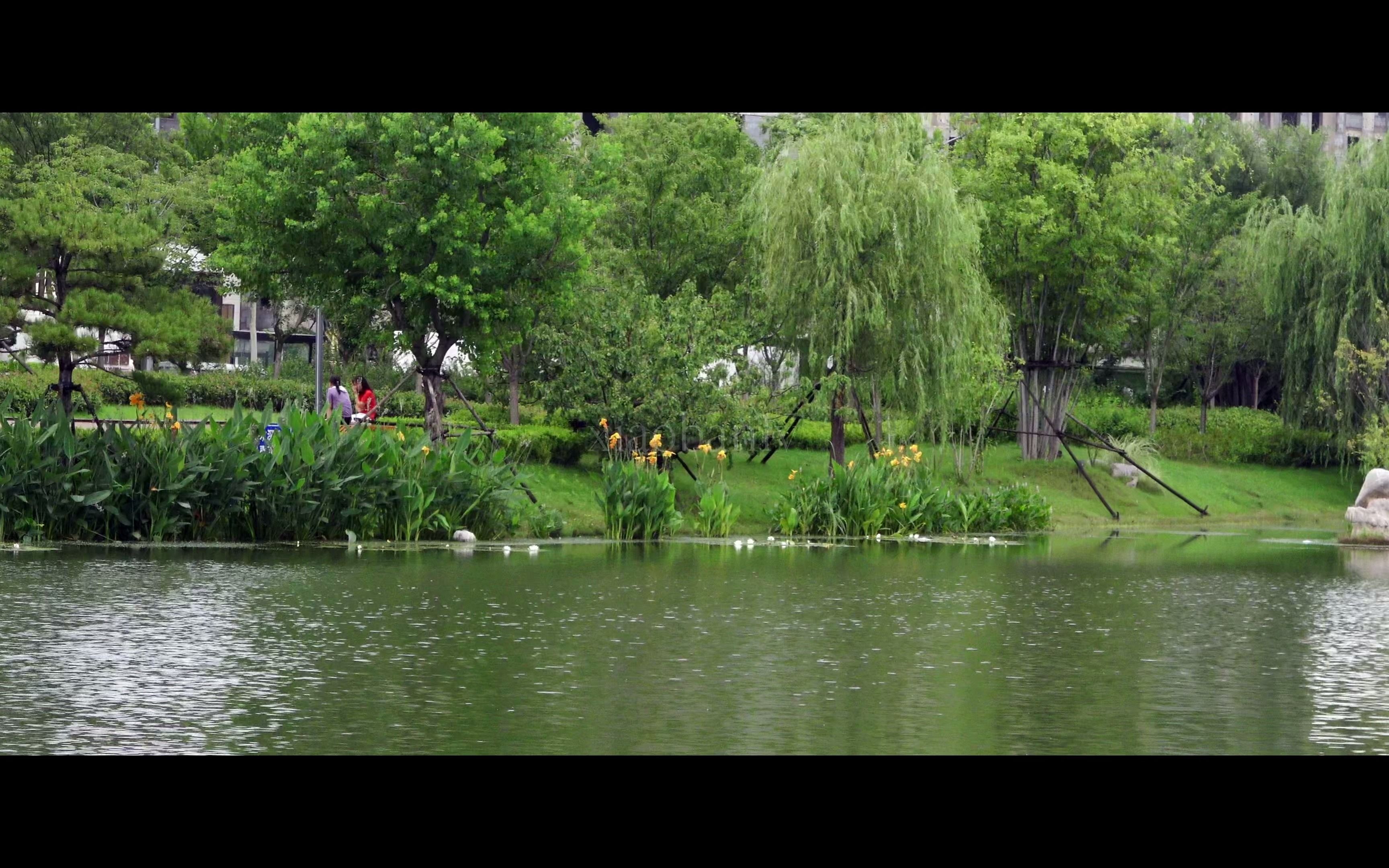 我的2021 走遍沂南美丽的人工湖