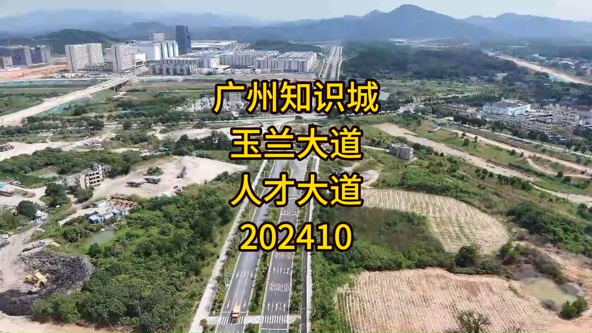 广州知识城玉兰大道(人才大道)202410哔哩哔哩bilibili