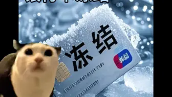 【猫meme】我小时候的以为