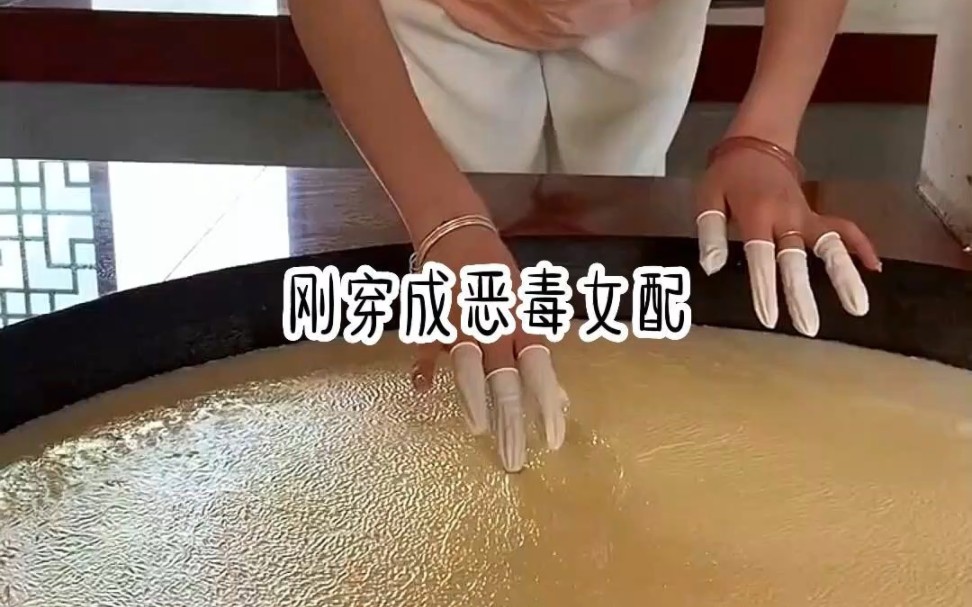 穿成恶毒女配哔哩哔哩bilibili