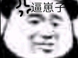 每日分享搞怪好玩的表情包哔哩哔哩bilibili