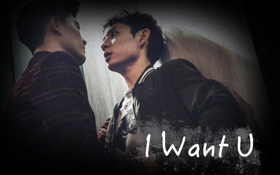 history3圈套【唐毅x孟少飞】i want u