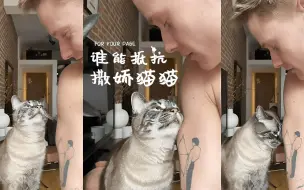 Download Video: 面对撒娇中的猫猫真的生气不起来 😩