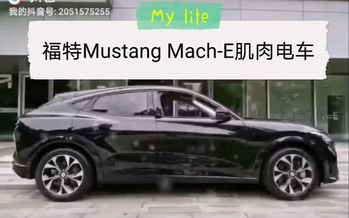 福特Mustang MachE杭州店试营业哔哩哔哩bilibili