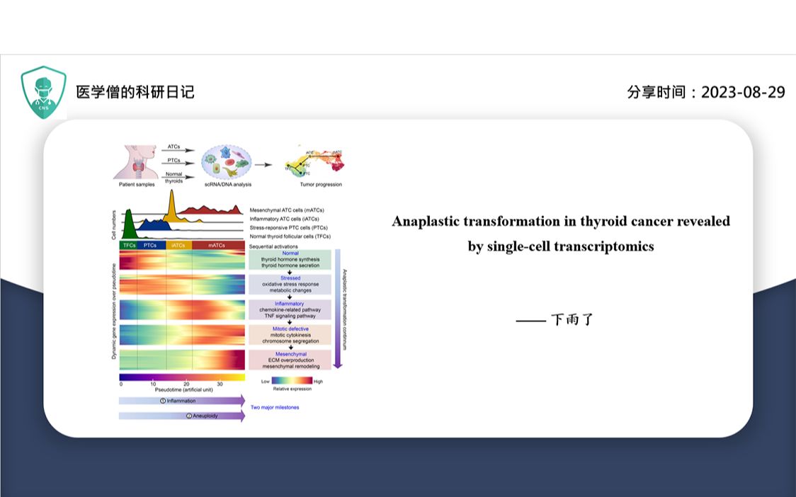 单细胞转录组学研究甲状腺癌症的无定形转化哔哩哔哩bilibili