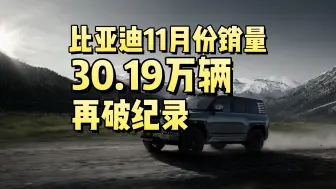 比亚迪11月份销量出炉，30.19万辆在破纪录！