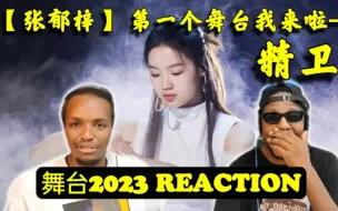 Download Video: 【REACTION舞台2023】老外看张郁梓《精卫》国风舞台，音乐剧氛围拉满！-