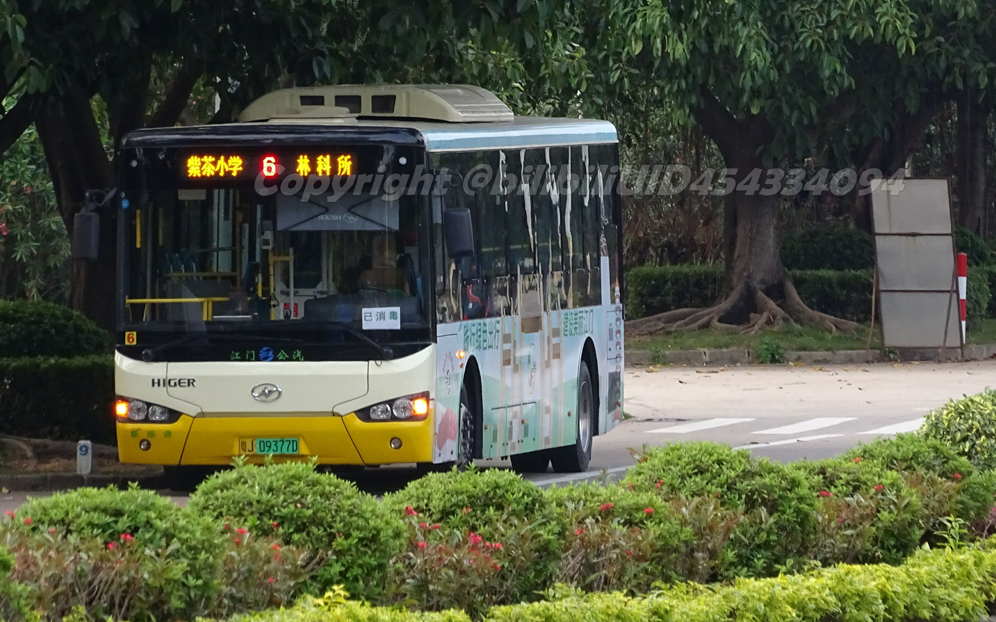 江门蓬江绕路线6路:紫茶小学▶林科所|江门蓬江龙湾交通记录摄影|江门公交6路记录视频哔哩哔哩bilibili