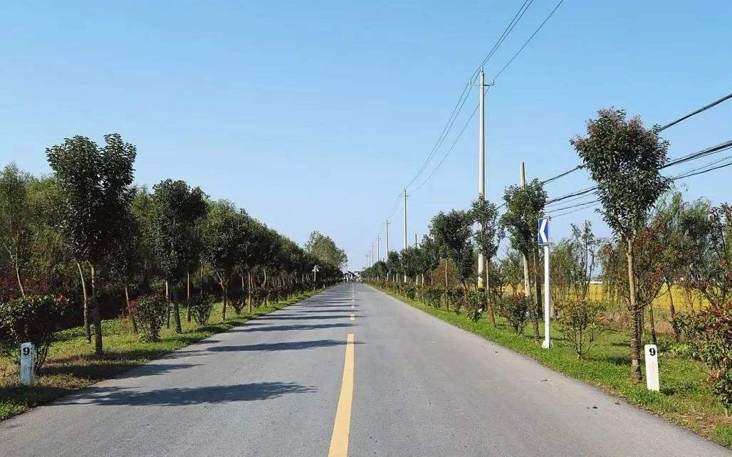 没想到西安的偏远农村,已经有了这么宽的柏油马路,真是太意外了