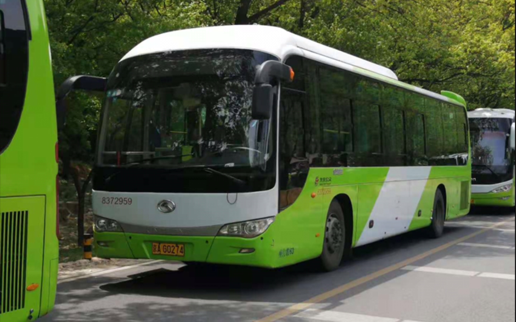 【北京公交老车】877路八达岭旺季时的c2随拍合集