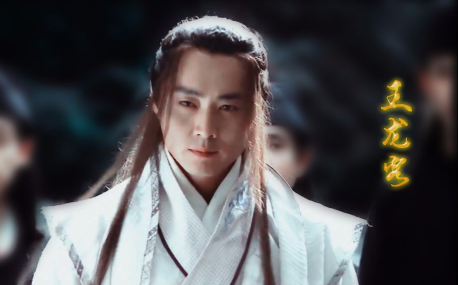 【沈晓海】王龙客武打动作集锦【明月天涯】