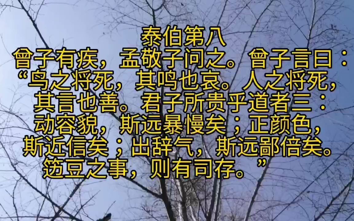 一起背论语：鸟之将死，其鸣也哀。人之将死，其言也善。_哔哩哔哩_bilibili