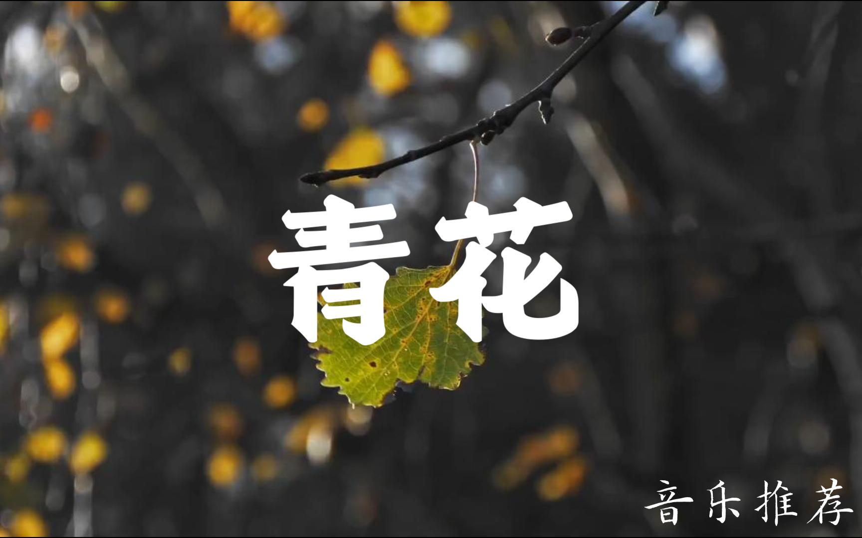 青花歌词 B站
