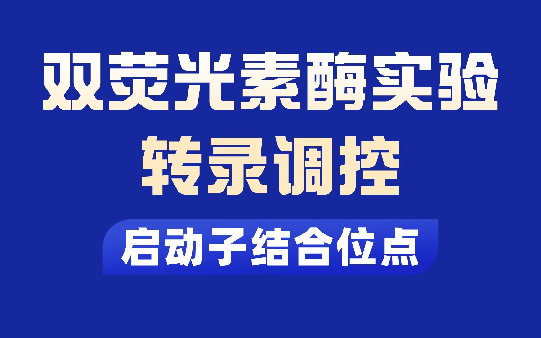 双荧光酶报告基因的实验数据结果解读,实验原理分析哔哩哔哩bilibili