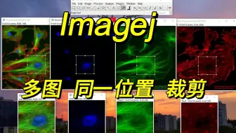 Imagej 多张图片同一位置裁剪，放大