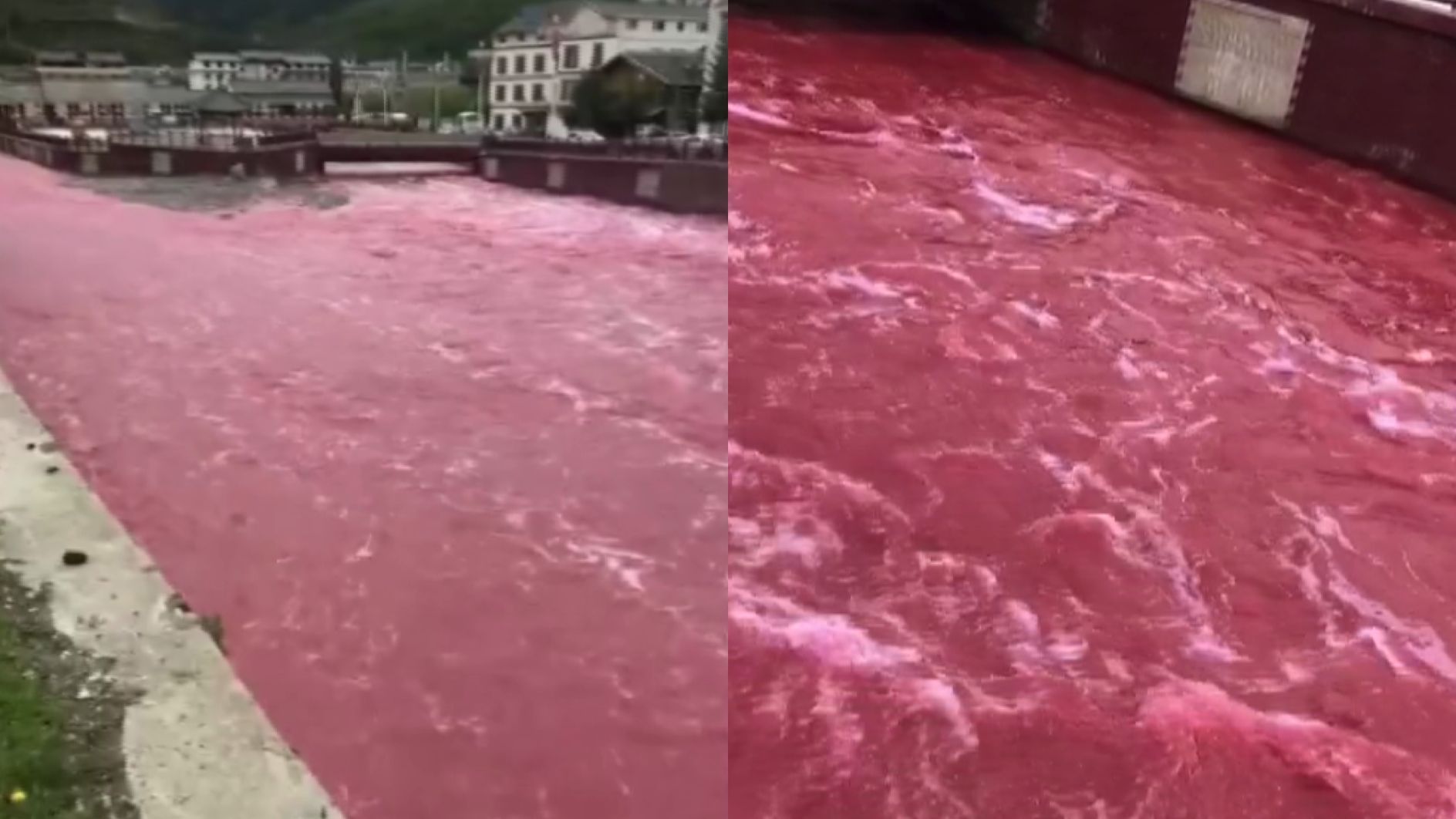 四川一河水呈异常红色,当地水务局:毒性检测为无毒,正调查溯源哔哩哔哩bilibili