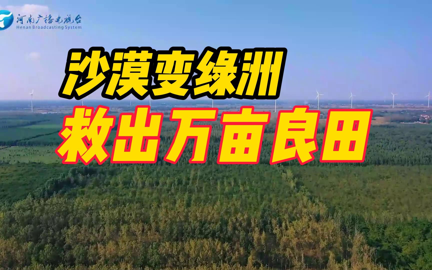 黄河故道沙漠变绿洲!聆听几代林场人植树造林的故事哔哩哔哩bilibili