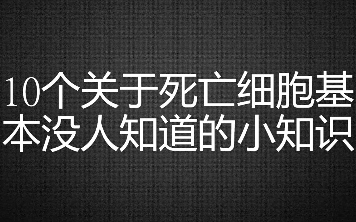 关于死亡细胞基本没人知道的10个小知识哔哩哔哩bilibili