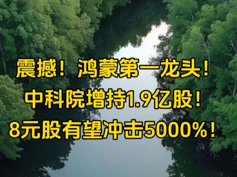 震撼!鸿蒙第一龙头,中科院增持1.9亿股,8元股有望冲击5000%!哔哩哔哩bilibili