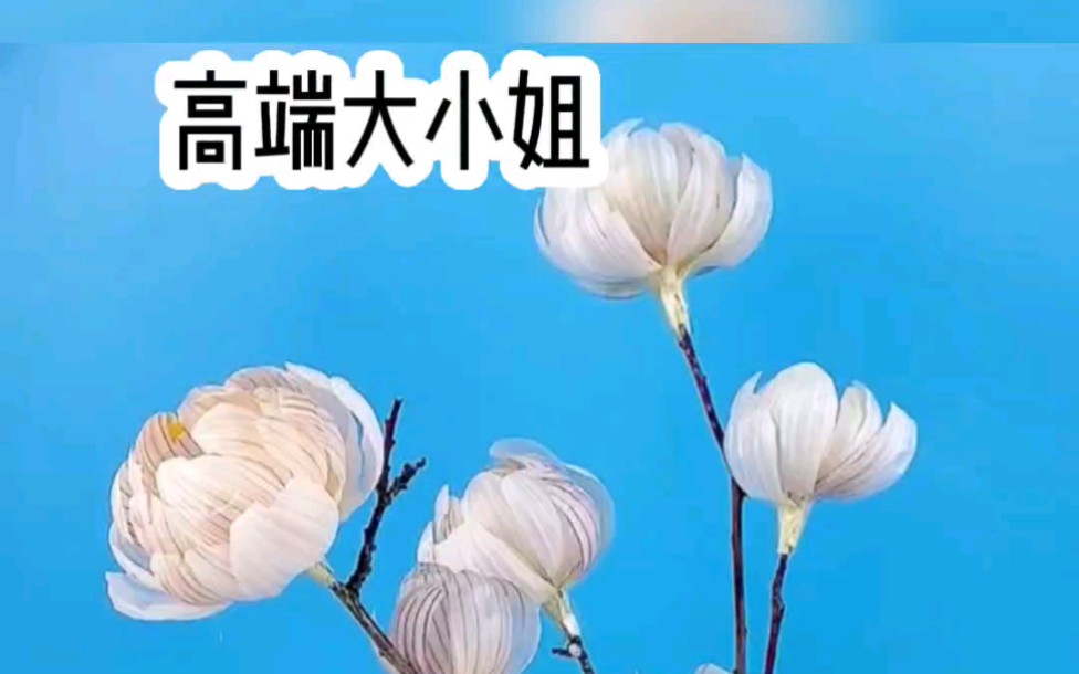 铭《高端大小姐》小说推荐哔哩哔哩bilibili