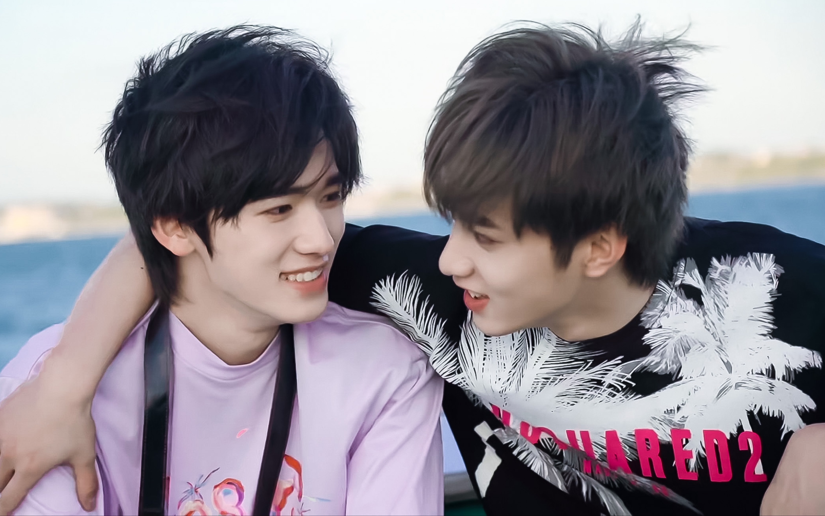 【reaction】文轩《烟花升停在星夜》