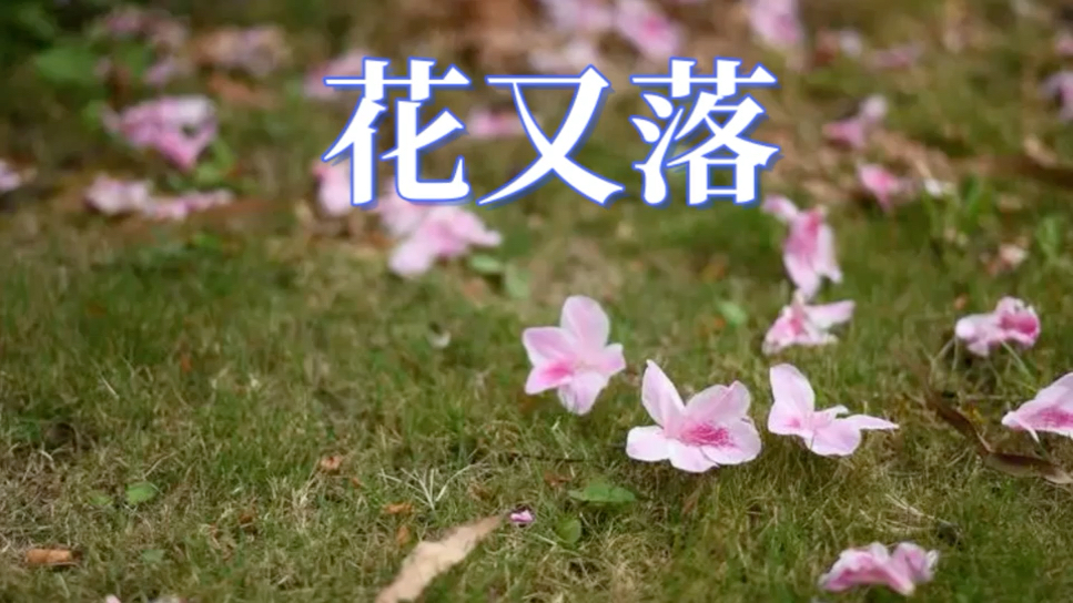 《花又落》二声部合唱