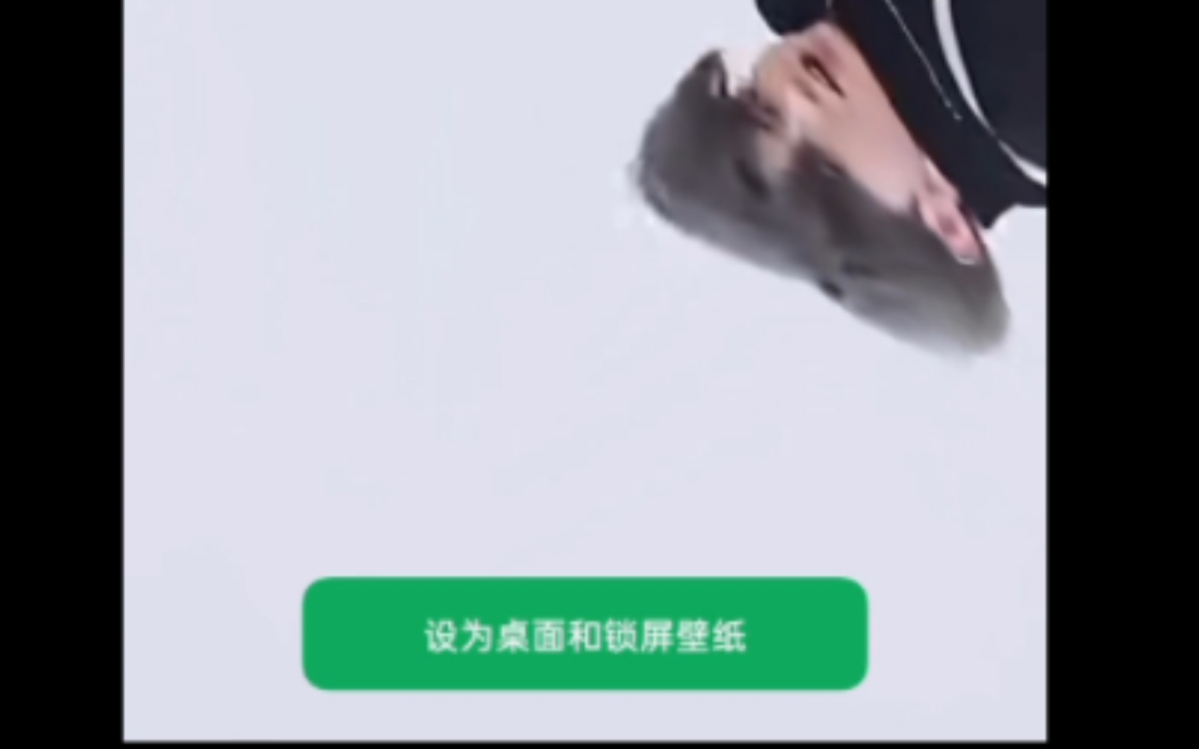 OPPO的这个动态壁纸已经被我彻底玩坏哔哩哔哩bilibili