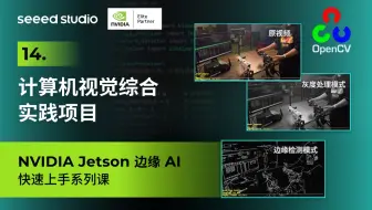 14 计算机视觉综合实践项目：综合视频处理系统开发