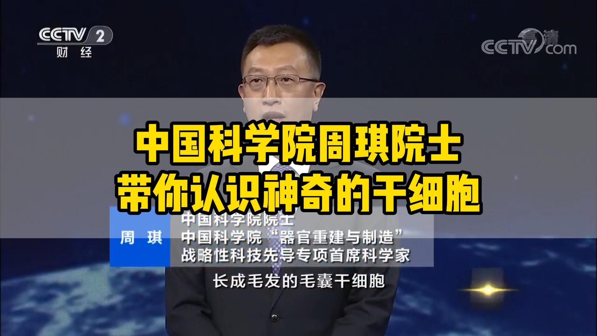 中国科学院周琪院士带你认识神奇的万能细胞——干细胞哔哩哔哩bilibili