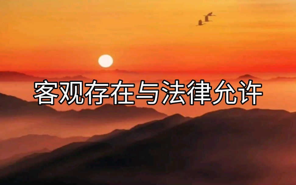 客观存在与法律允许