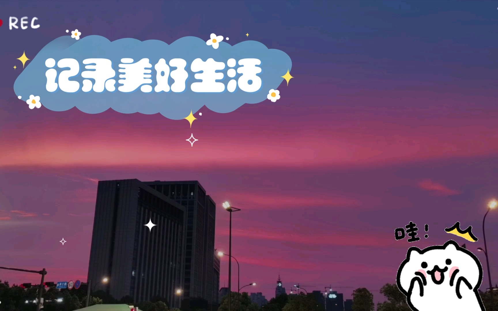 个人成长的记录者：时间的忠实见证者